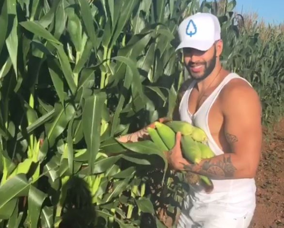 Gusttavo Lima disse que ia levar milho para fazer uma pamonha em casa | Reprodução/