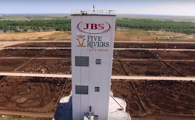 Empresa Five Rivers, de confinamento de gado, trocará de dono | /