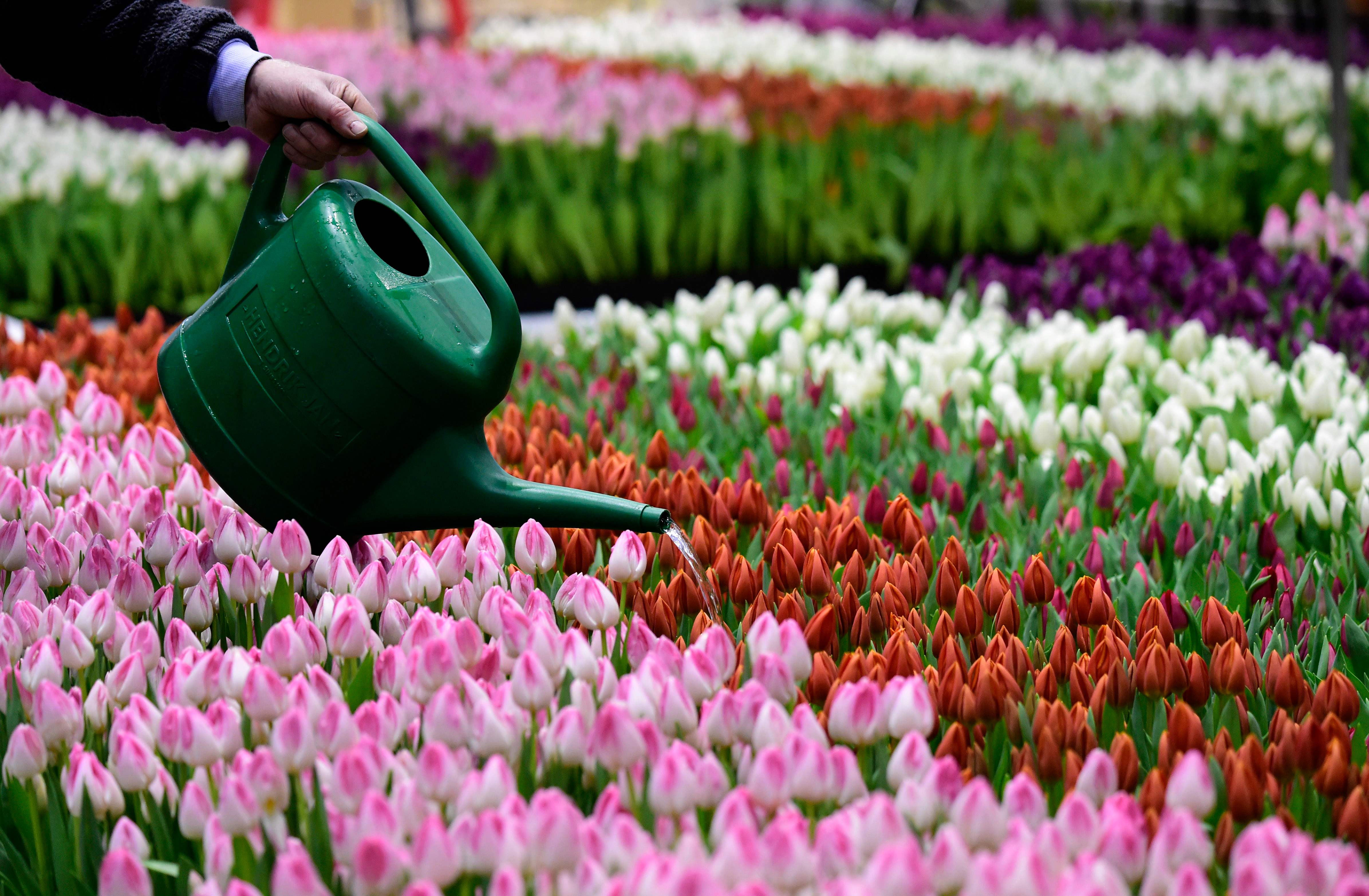 | TOBIAS SCHWARZ/AFP