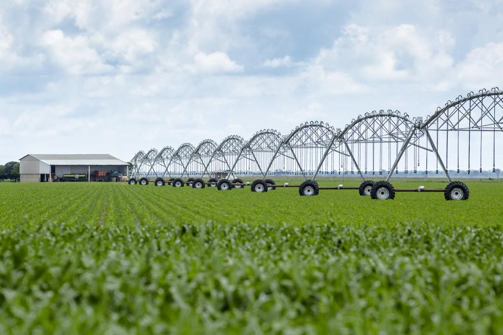 | Lineu Filho/Gazeta do Povo