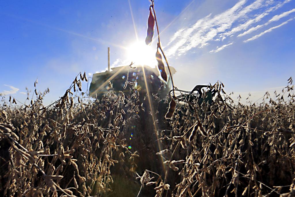 Lavoura de soja na Argentina: safra 2017/18 está ameaçada pela seca e falta de chuvas | Albari Rosa/Gazeta do Povo