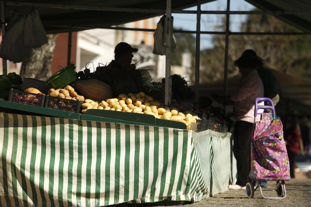 | Marcelo Andrade/Gazeta do Povo