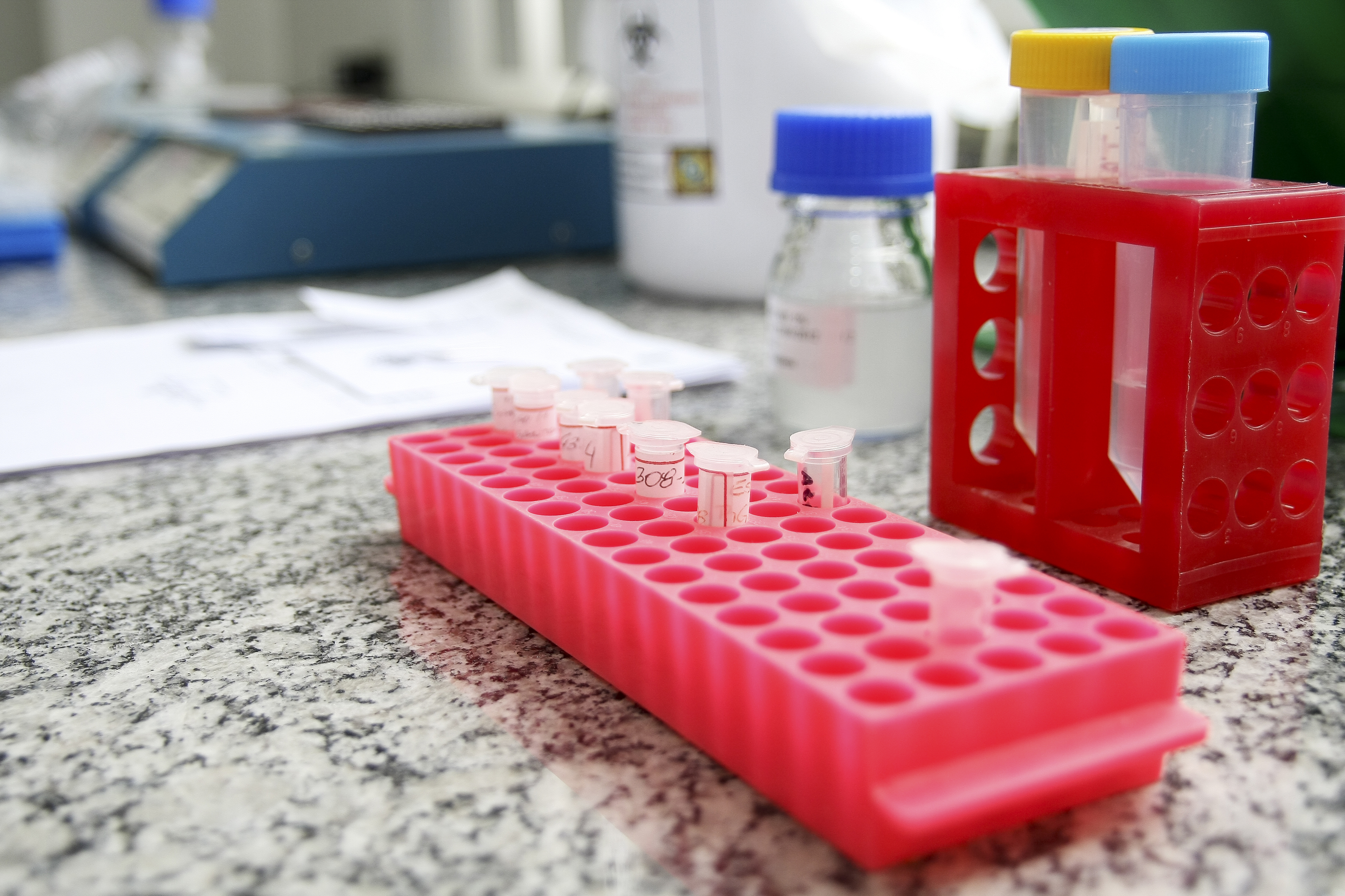 | André Rodrigues/Arquivo Gazeta do Povo