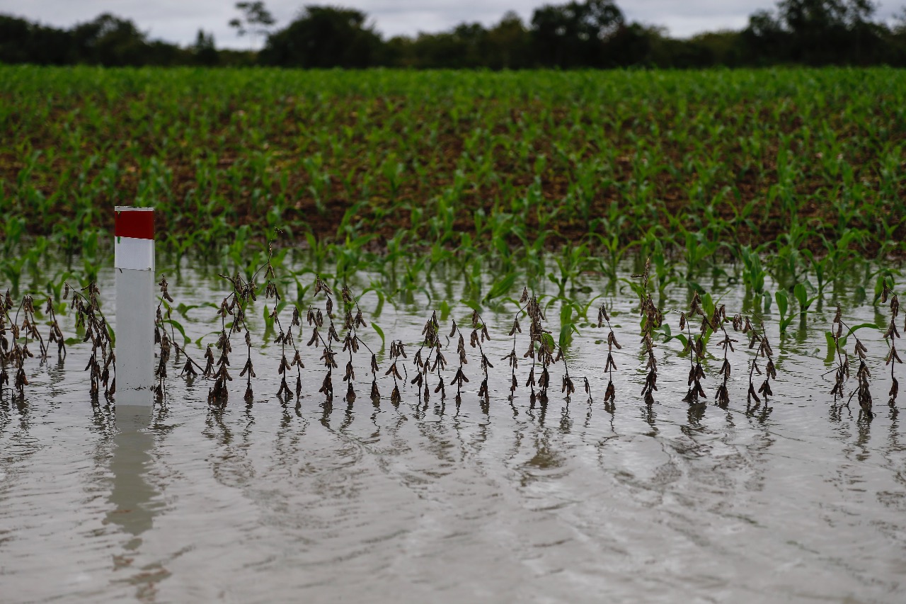 Chuvas têm impedido a colheita em várias regiões de Mato Grosso. | Jonathan Campos/Gazeta do Povo