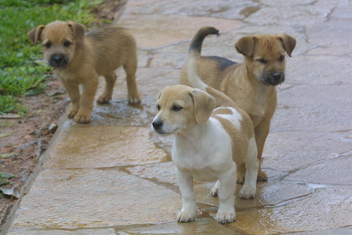 Imagem ilustrativa. | Aniele Nascimento/
Gazeta do Povo/Arquivo