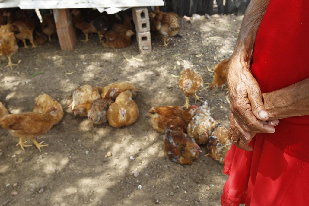 | Jonathan Campos/Gazeta do Povo