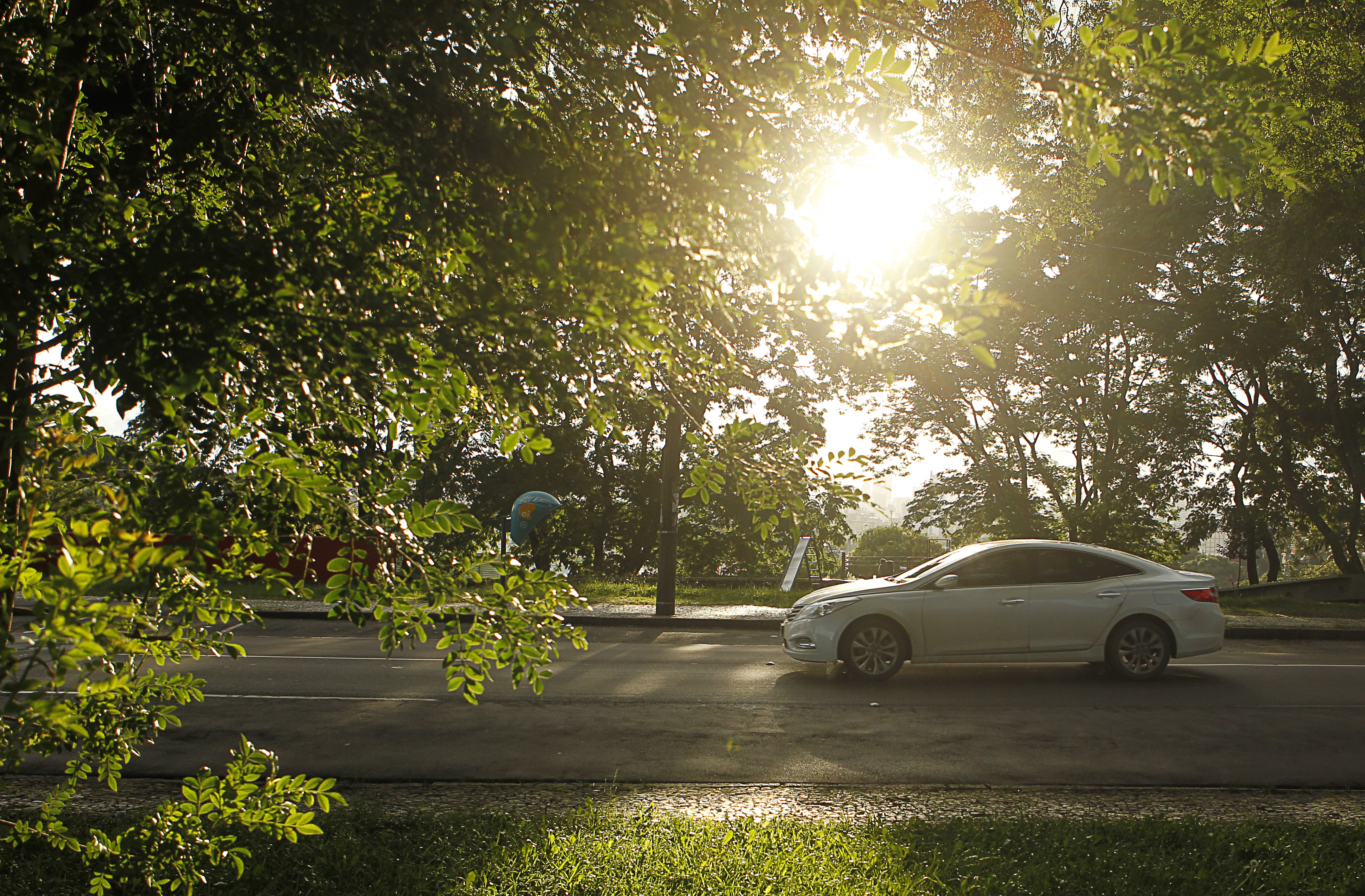 | Maicon J. Gomes/Gazeta do Povo