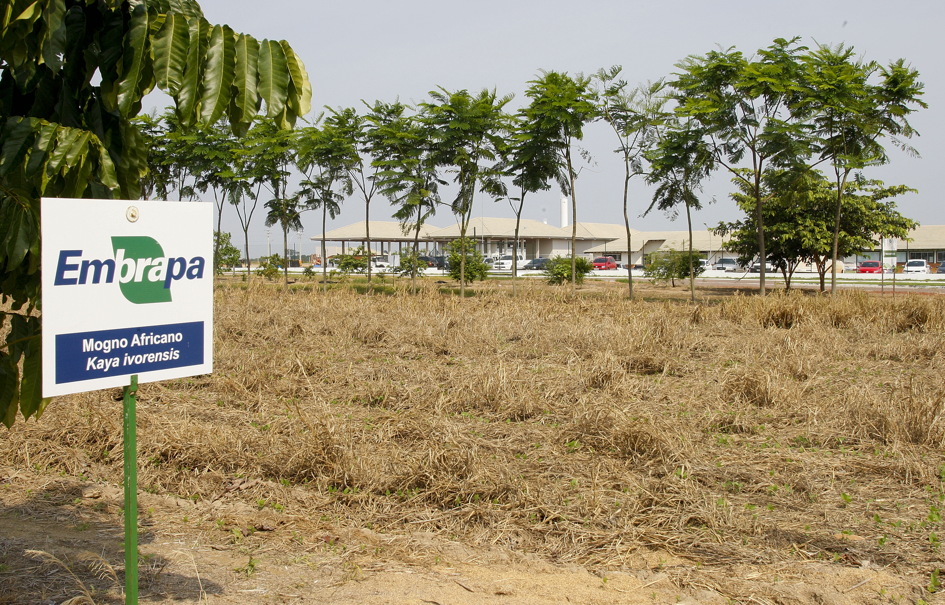 | Hugo Harrada/Gazeta do Povo