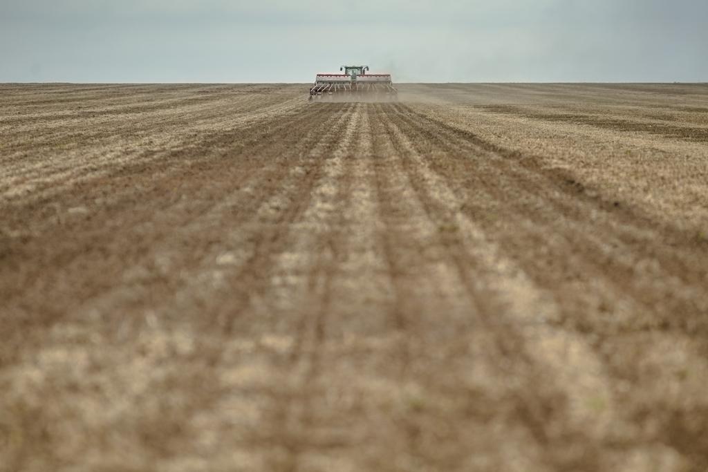 De acordo com analistas, a falta de chuva no fim do ano atrasou o início dos trabalhos nos campos argentinos, mas sem perdas substanciais. | Arquivo/Gazeta do Povo