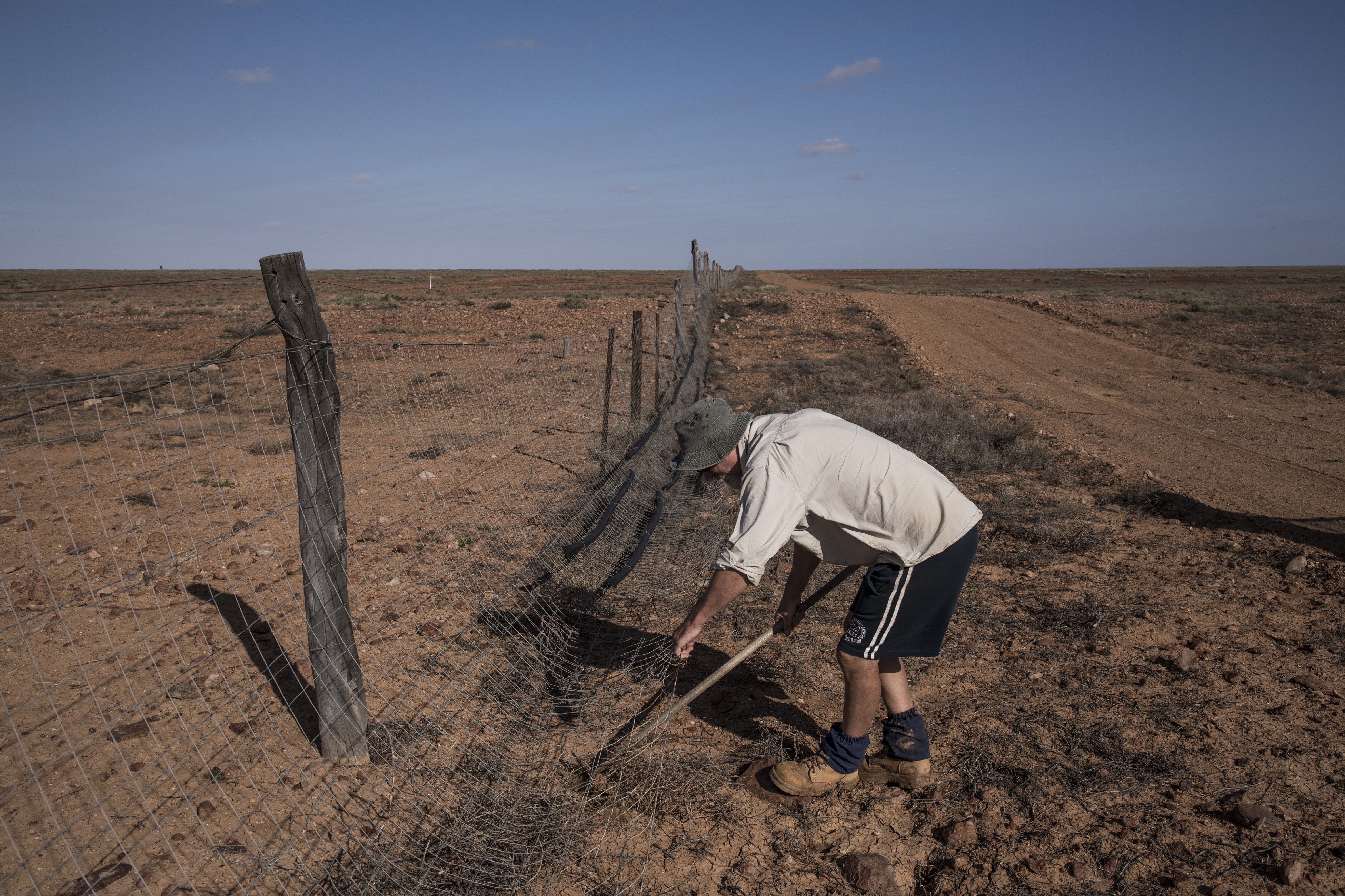 O patrulheiro Alan Walton realiza reparos na cerca de 5.600 que busca separar animais selvagens das criações pecuárias de ovelhas | ADAM FERGUSON/NYT