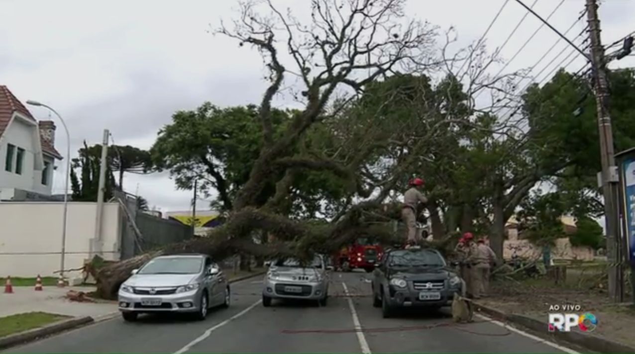 | Reprodução/RPC TV