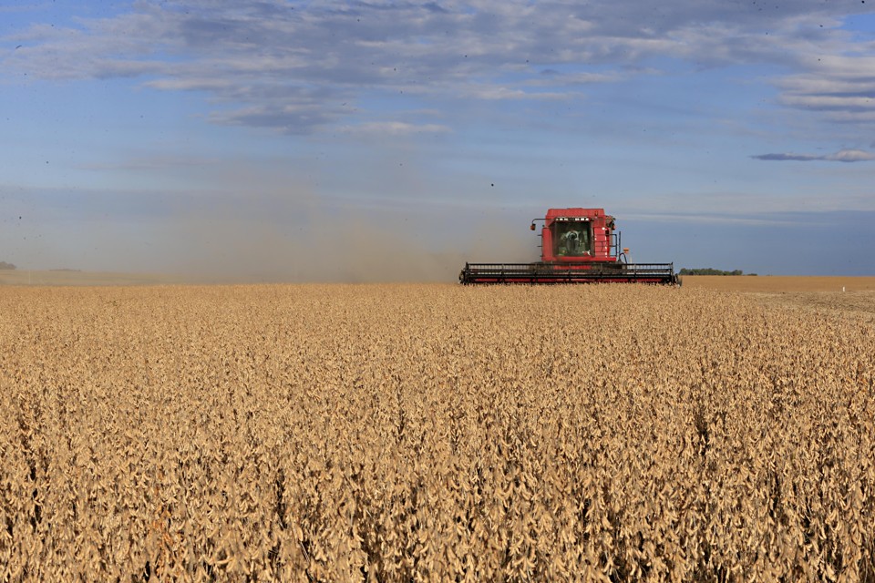 A média de produtividade do Mato Grosso na safra passada foi de 55,4 sacas por hectare. | Albari Rosa/Gazeta do Povo
