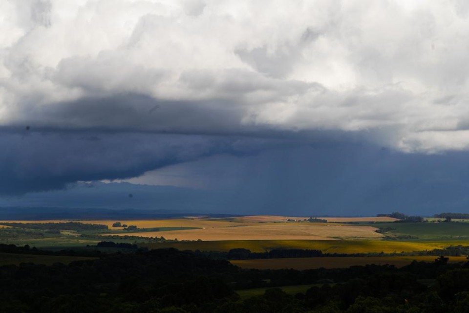 Apesar das adversidades climáticas, a soja e o milho cultivados na região estão em boas condições. Pelo menos por enquanto. | Arquivo/Gazeta do Povo