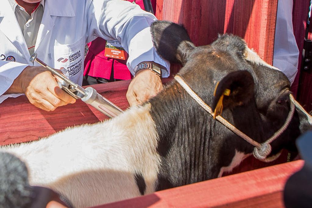 Alguns países, como Argentina, Uruguai e Bolívia já adotam essa prática, com resultados satisfatórios, tanto em relação à diminuição às reações, quanto na preservação da potência da vacina. | Du Amorim/ A2FOTOGRAFIA/Fotos Públicas