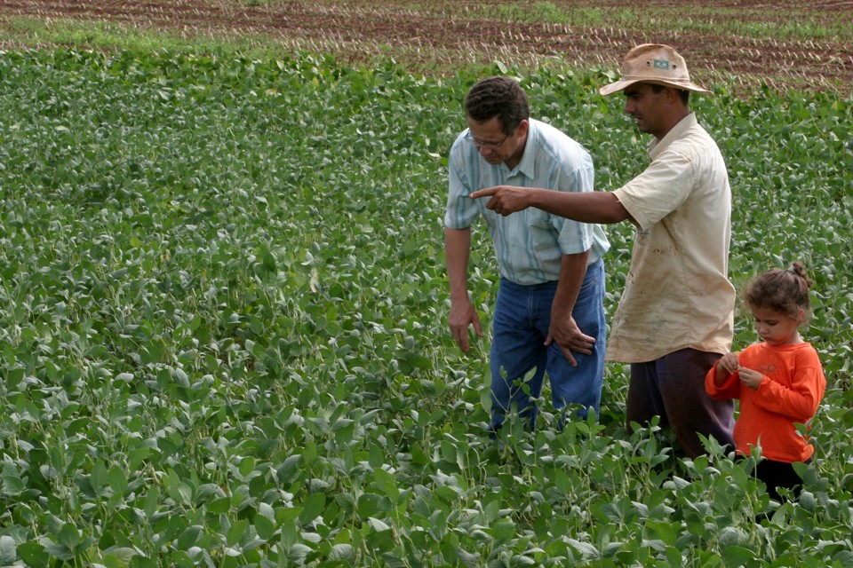 Esperança de uma melhor conexão entre teoria e prática está depositada em consultores agrícolas que levam as ferramentas digitais para os produtores | Arquivo / Gazeta do Povo