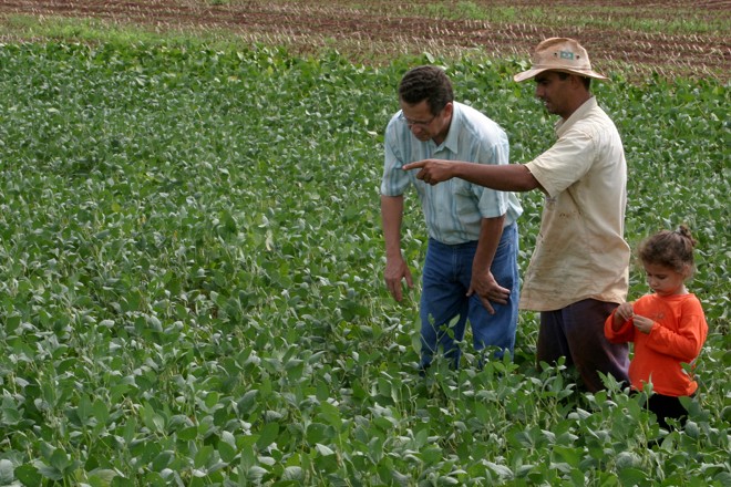 Esperança de uma melhor conexão entre teoria e prática está depositada em consultores agrícolas que levam as ferramentas digitais para os produtores | Arquivo / Gazeta do Povo