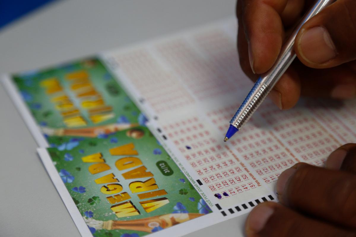 | Aniele Nascimento
Gazeta do Povo