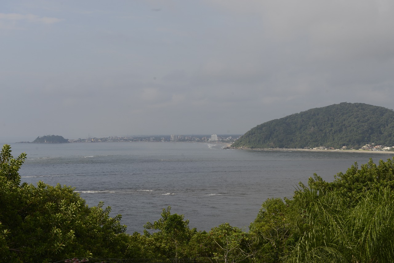 | Letícia Akemi/Gazeta do Povo