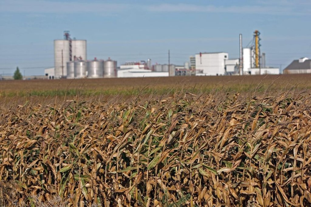 Expectativa da usina é processar mais de 1 milhão de toneladas de milho após a ampliação.