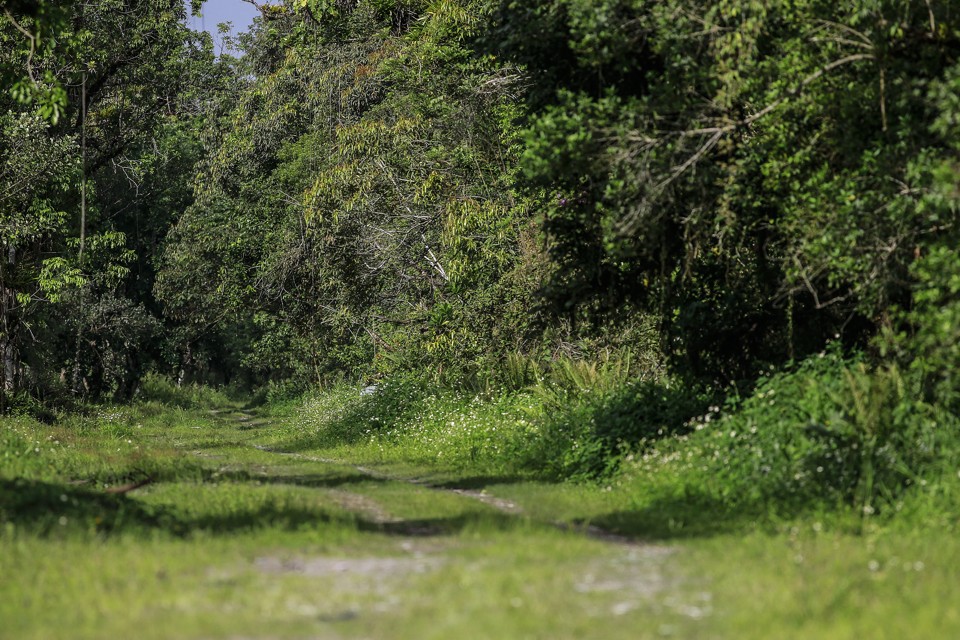 Por que aprovar empreendimentos de impacto negativo no Litoral? | Jonathan Campos/Gazeta do Povo