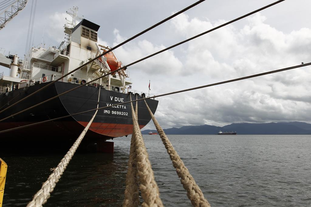 Ministério da Agricultura afirma que a exportação de animais      vivos cumpre todas as exigências das normas internacionais | Jonathan Campos/Gazeta do Povo