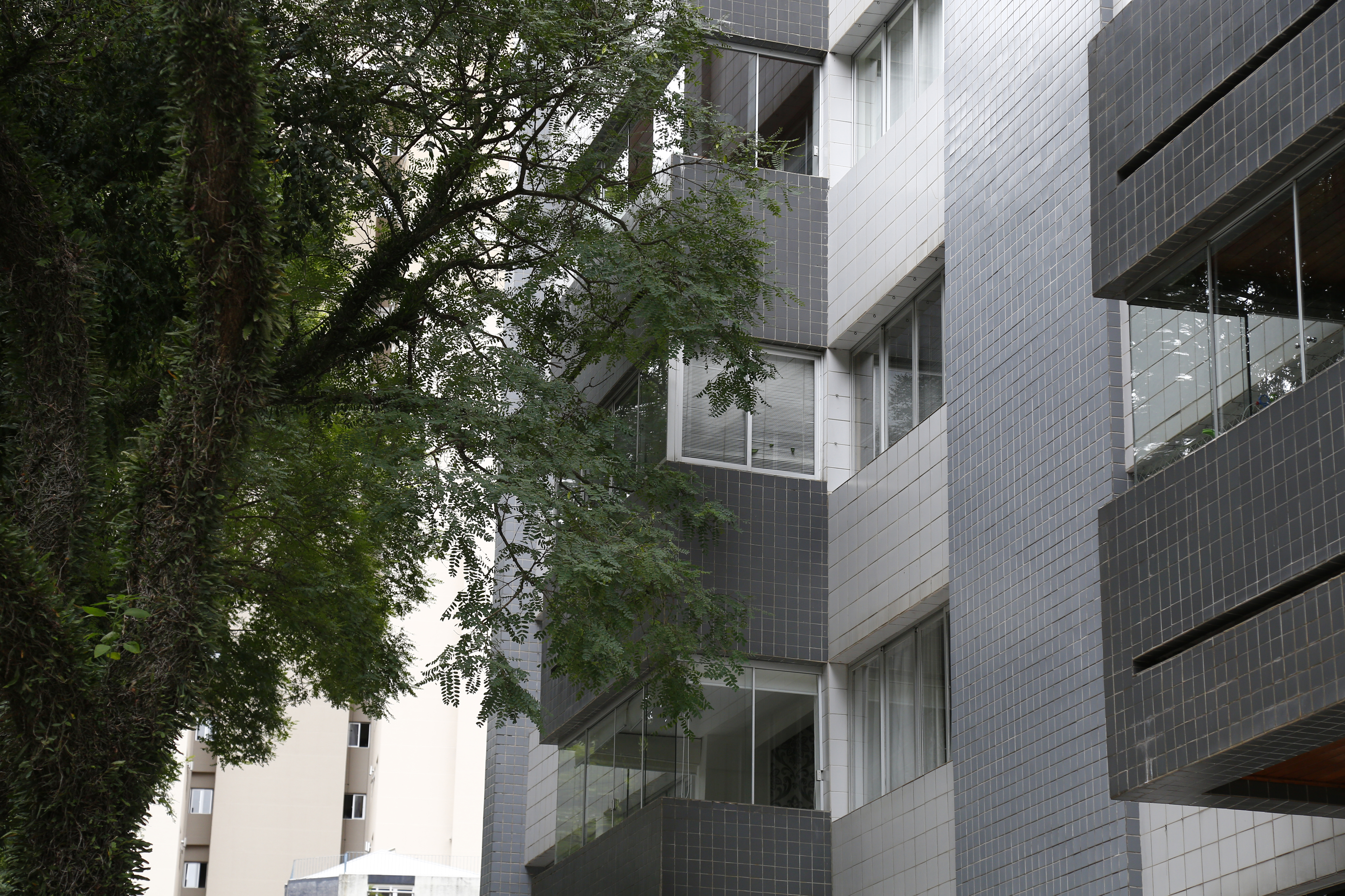 Com fortes ventos e chuva, as árvores podem danificar os prédios e trazer perigo aos moradores | Aniele Nascimento/Gazeta do Povo