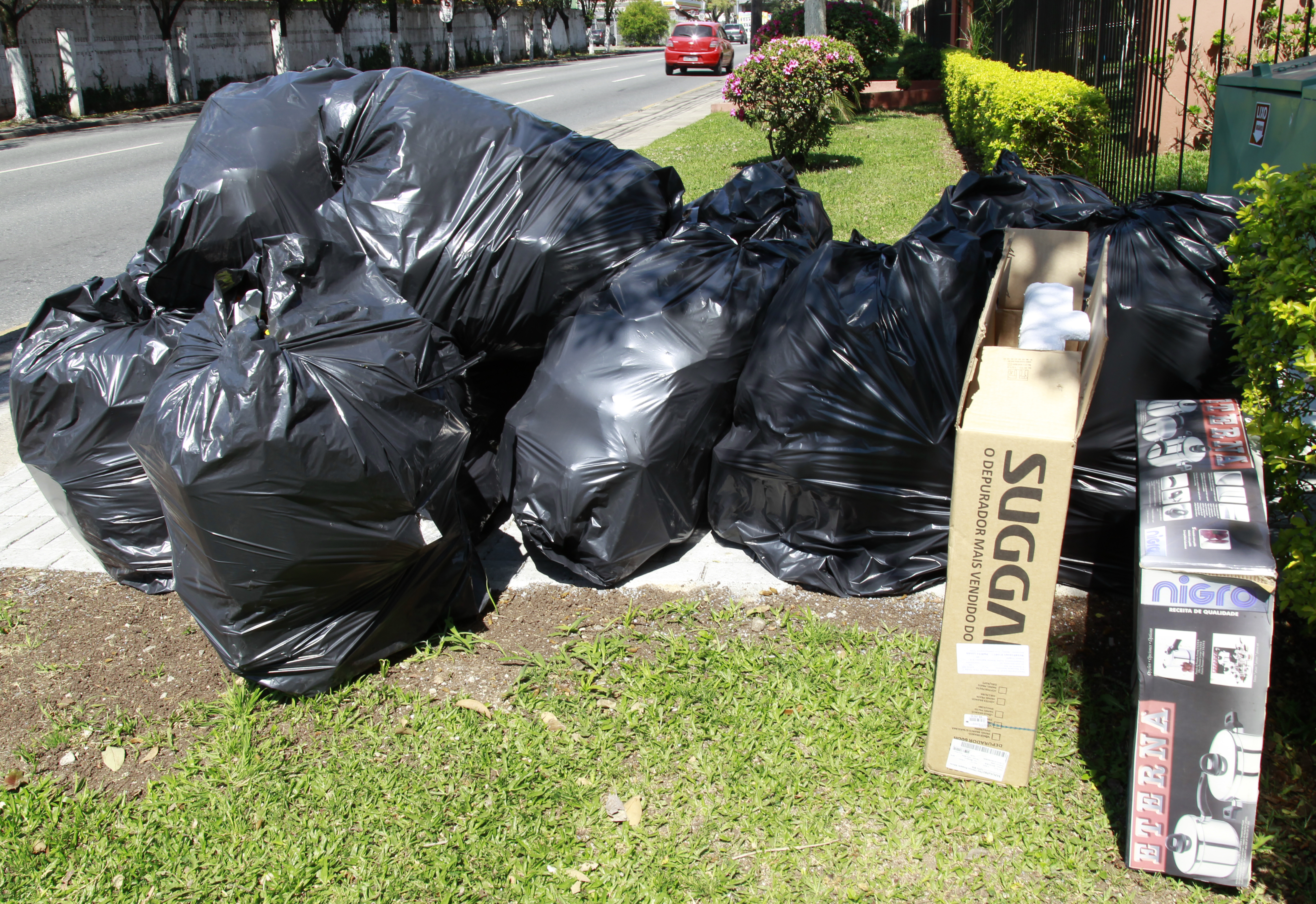 | Aniele Nascimento/Gazeta do Povo