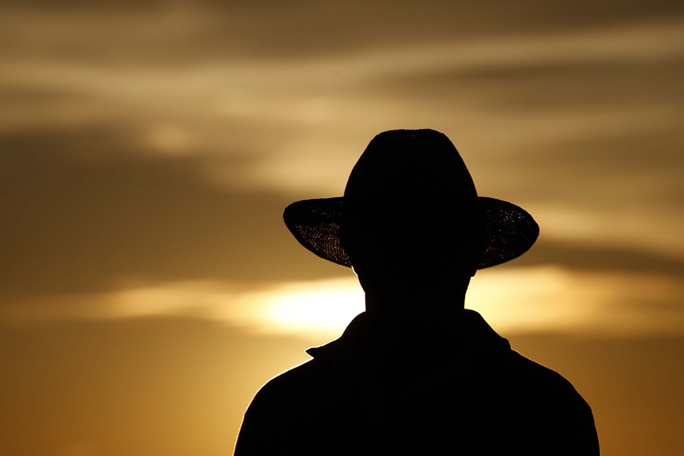 O produtor rural que aderir ao programa terá de pagar 2,5% da dívida consolidada em até duas parcelas iguais, mensais e sucessivas. O restante poderá ser parcelado em até 176 prestações. | Jonathan Campos/Gazeta do Povo