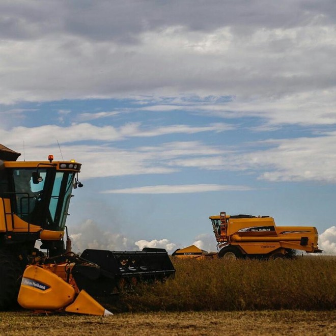 Lavoura da família Antonini | Jonathan Campos/Gazeta do Povo