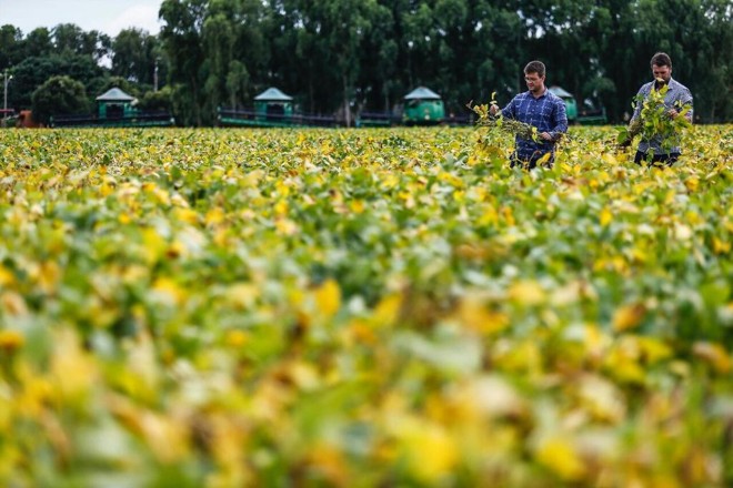 | Jonathan Campos/Gazeta do Povo
