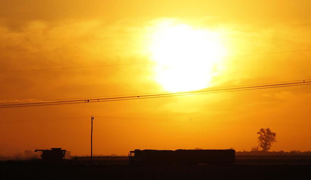 A tragédia no campo argentino está sustentando a alta da soja em Chicago neste ano. | Jonathan Campos/Gazeta do Povo