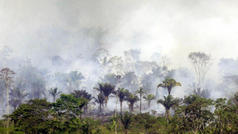 A queima de matéria vegetal derivada desse processo é capaz de lançar na atmosfera cerca de 1 bilhão de toneladas de CO2 (gás carbônico ou dióxido de carbono) num único ano . | AR/ms/AIZAR RALDES