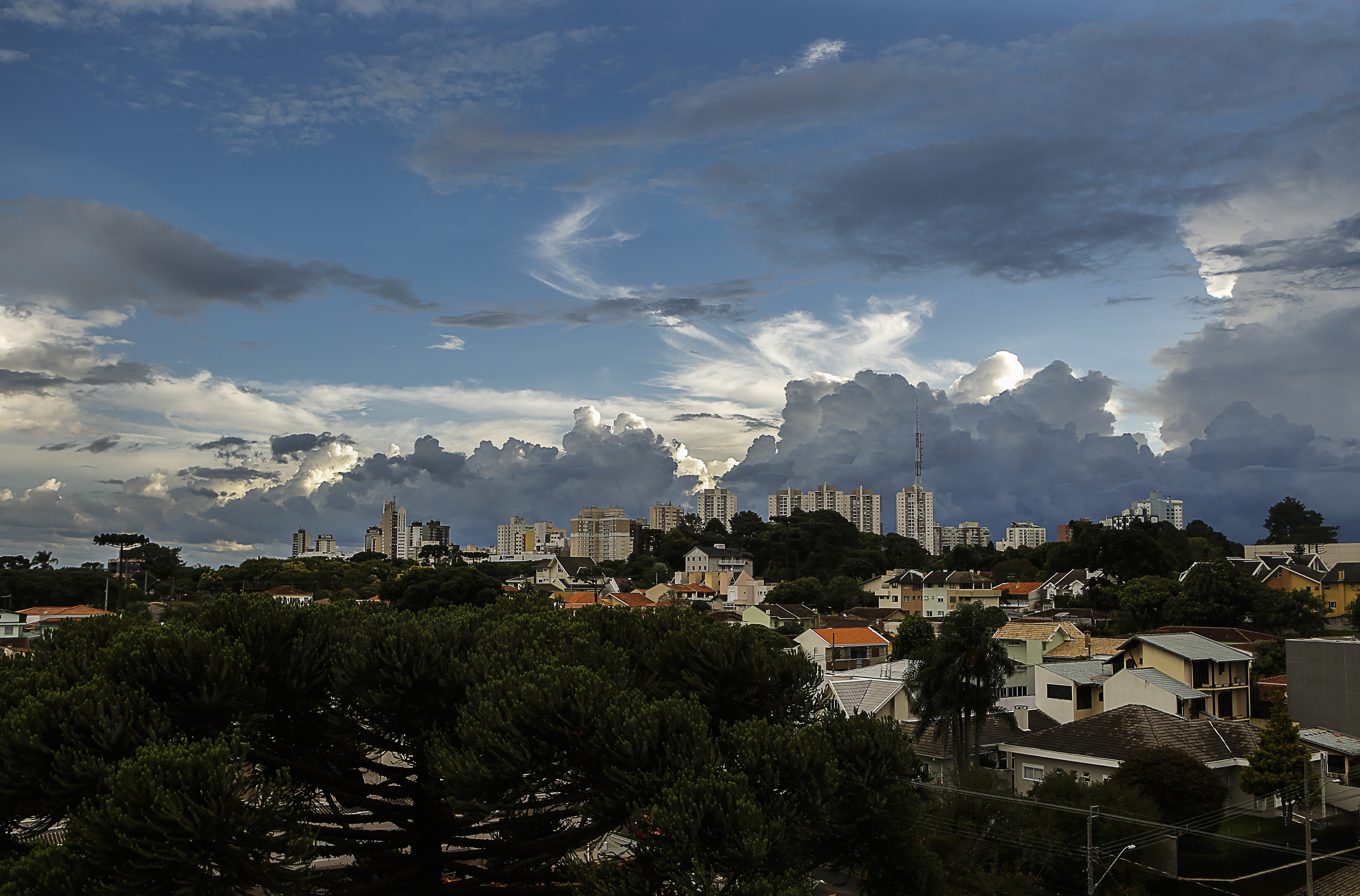 | Maicon J. Gomes/Gazeta do Povo