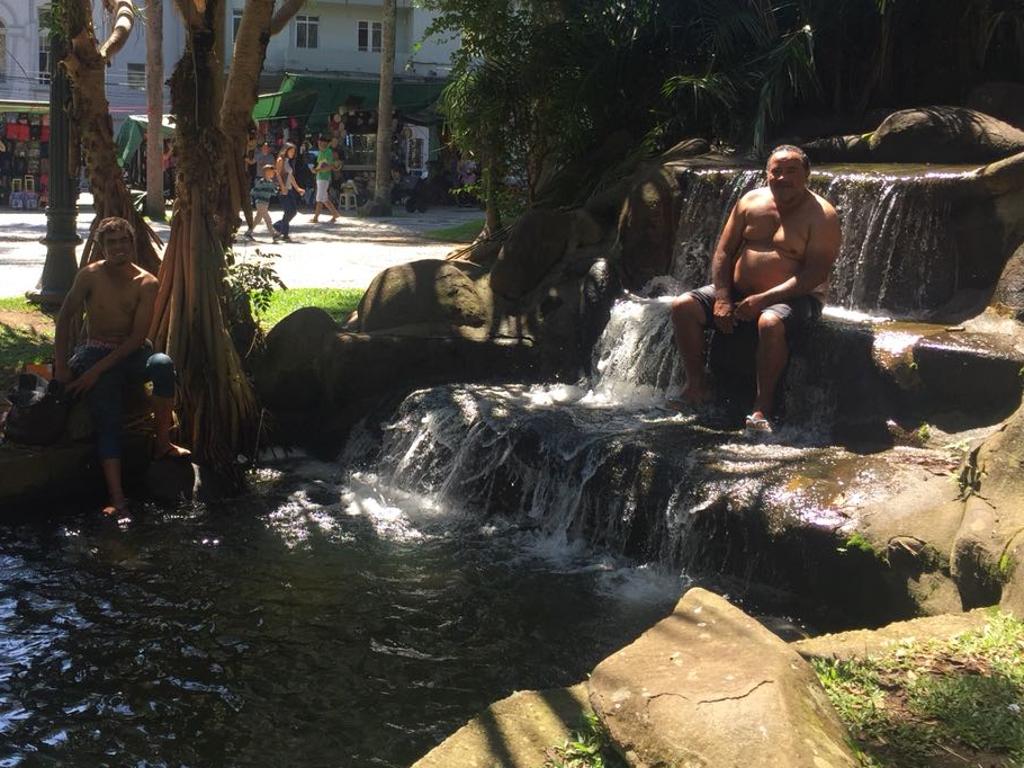 Dupla não suportou o calor e se refrescou no lago da Praça Carlos Gomes. | Felipe Rosa/Gazeta do Povo