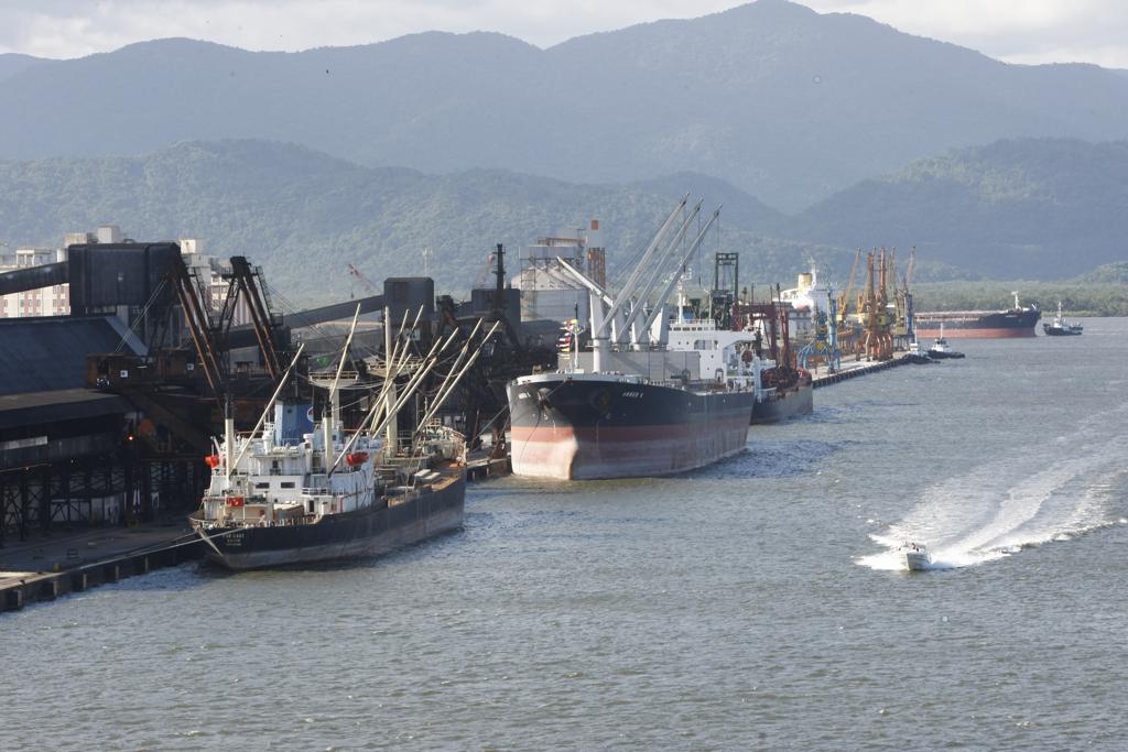 Vista do Porto de Santos, onde carga viva ficou retida | Aniele Nascimento/Gazeta do Povo