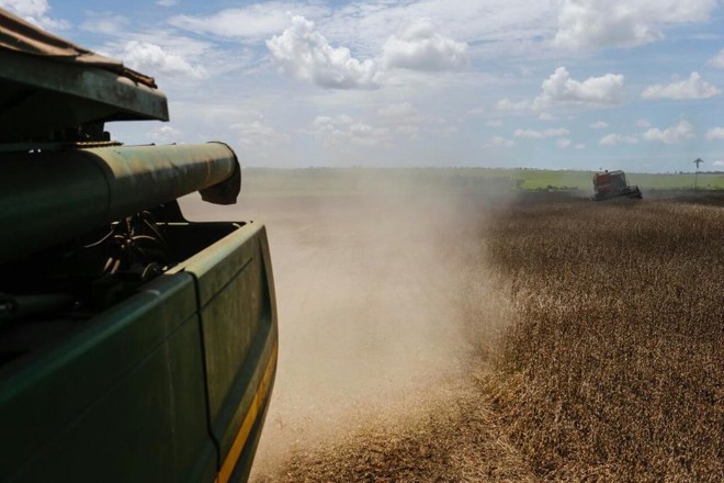 Colheita na fazenda de Valdenir Barizon, em Deadápolis |