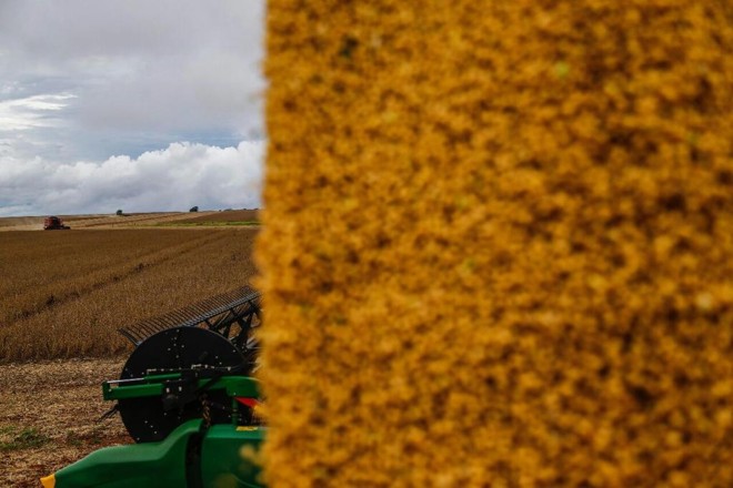 | Jonathan Campos/Gazeta do Povo