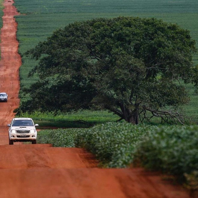 | Jonathan Campos/Gazeta do Povo