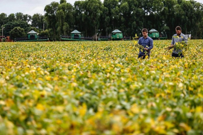 | Jonathan Campos/Gazeta do Povo