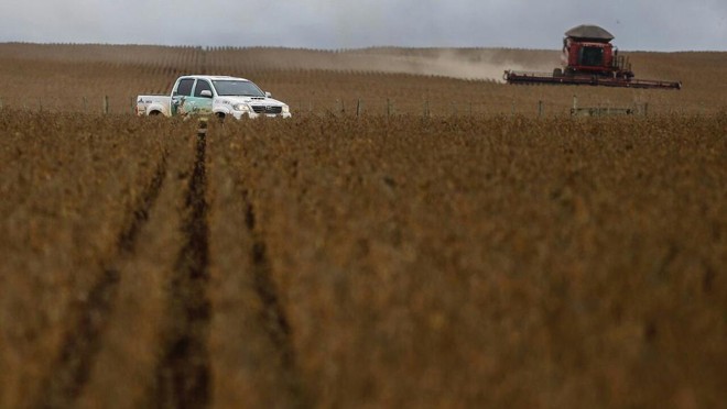 | Jonathan Campos/Gazeta do Povo