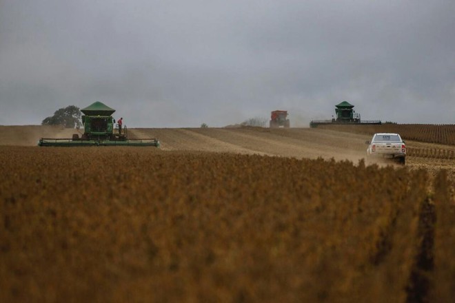 | Jonathan Campos/Gazeta do Povo