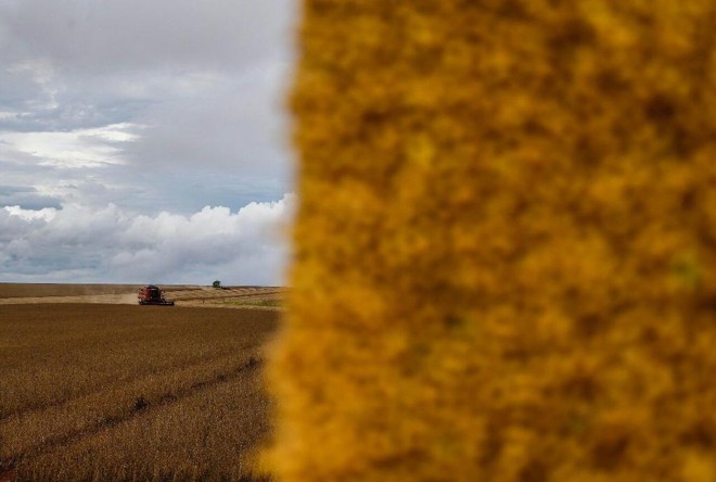 | Jonathan Campos/Gazeta do Povo