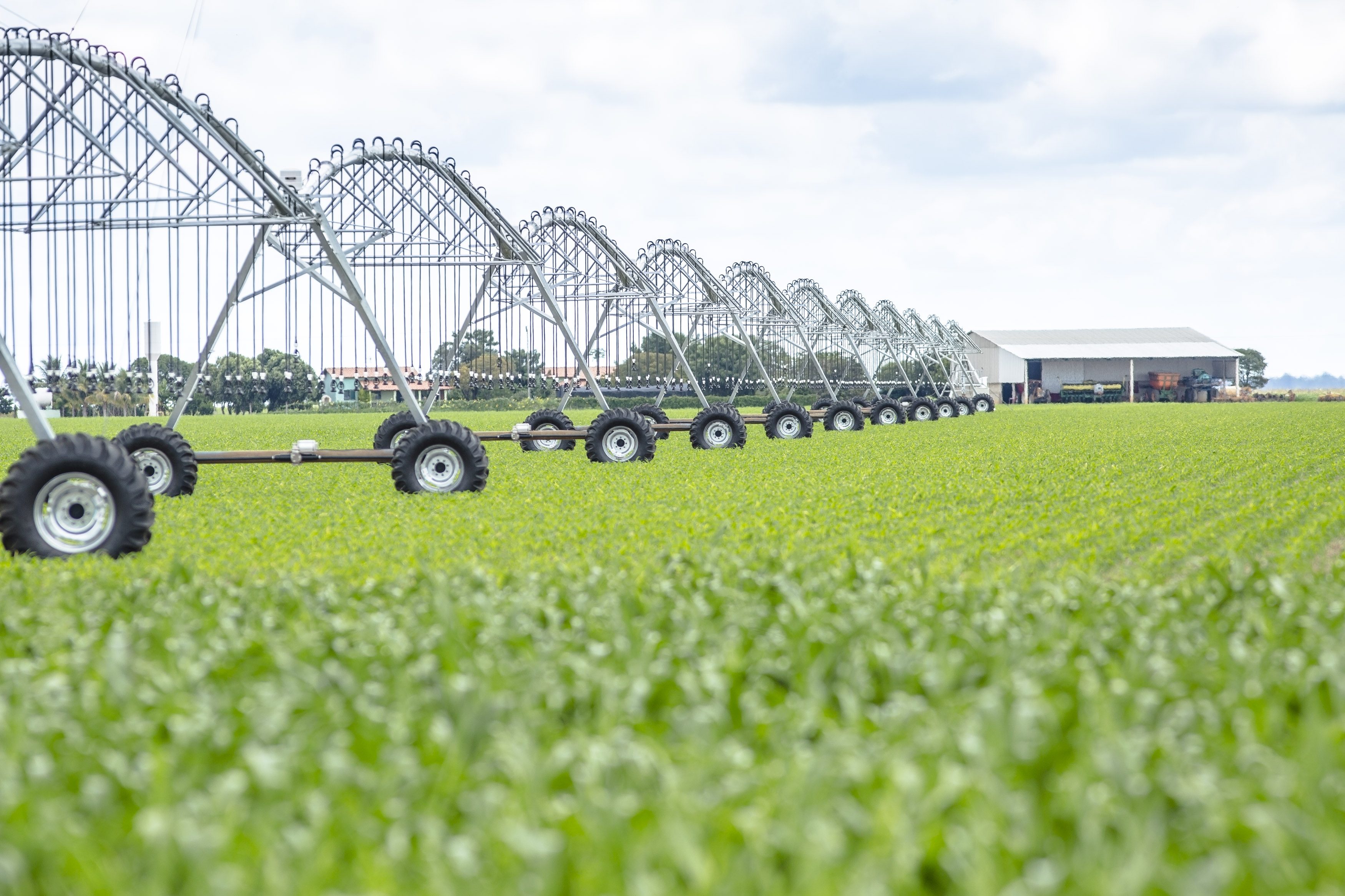  | Lineu Filho/Gazeta do Povo