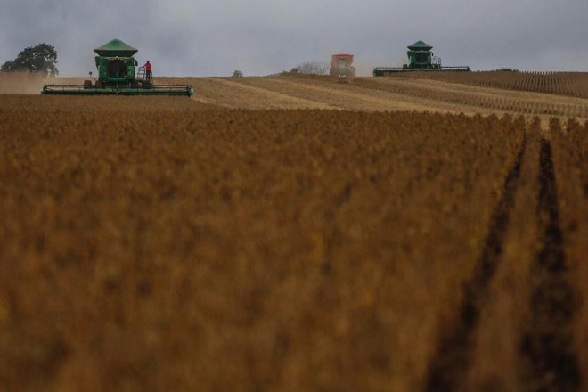 | Jonathan Campos/Gazeta do Povo