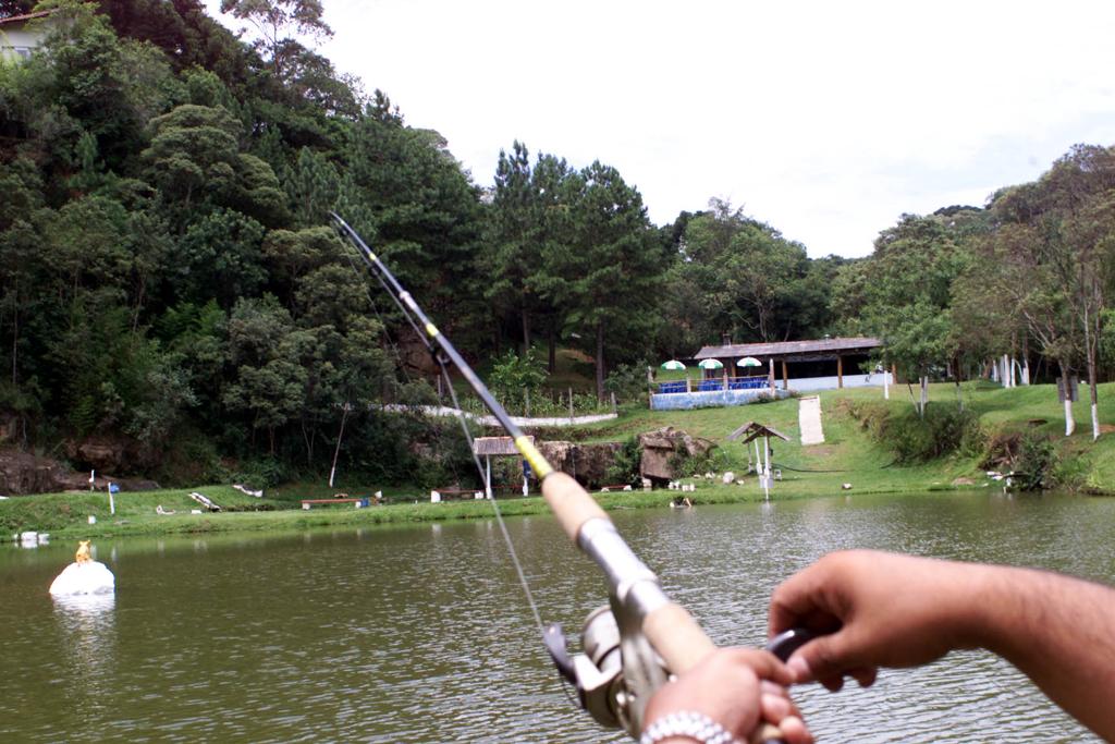 | Fábio Alexandre/Gazeta do Povo