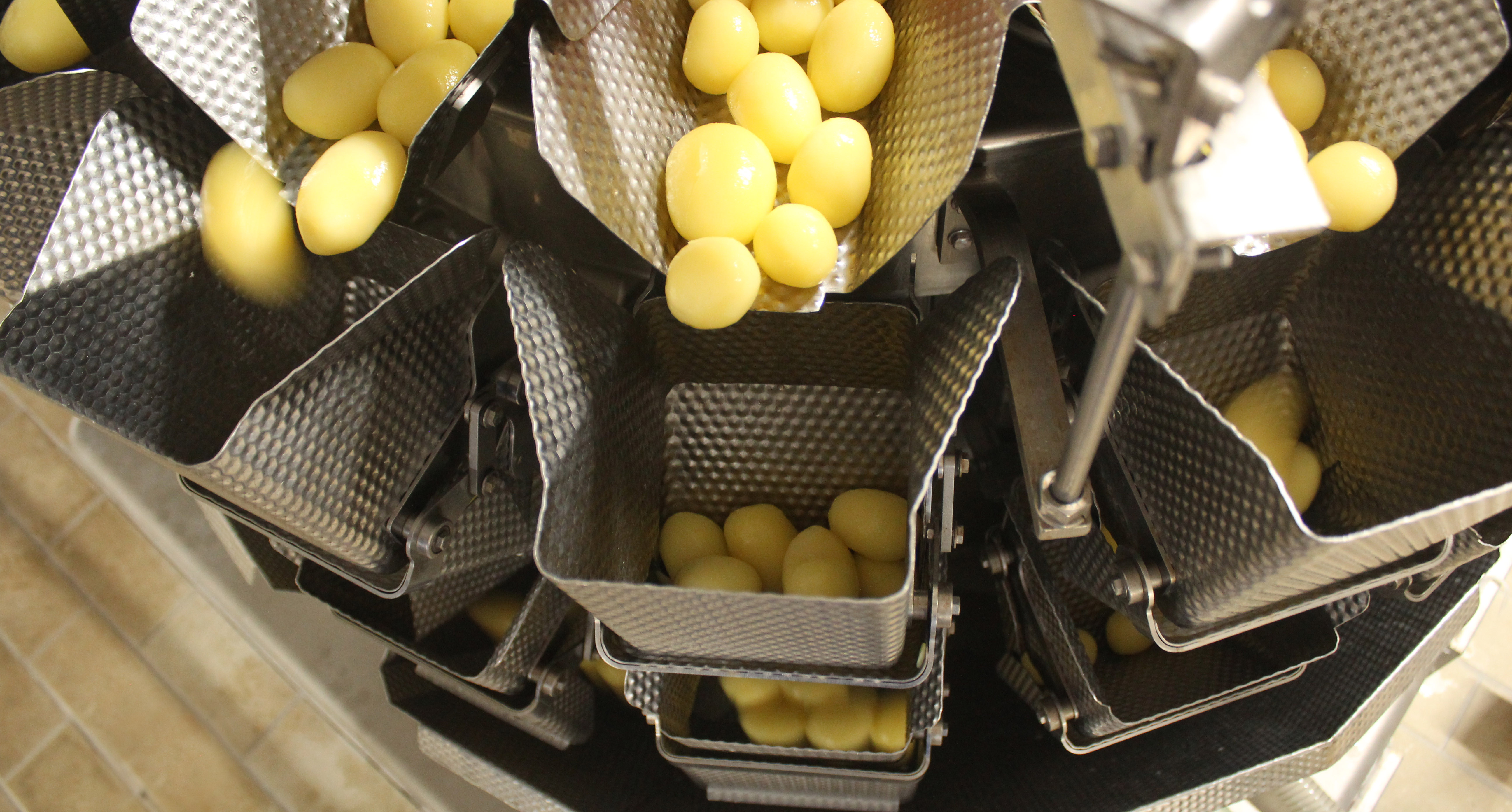 Produto pioneiro da empresa, batata inglesa se mantém entre os 10 mais vendidos da marca | Divulgação/