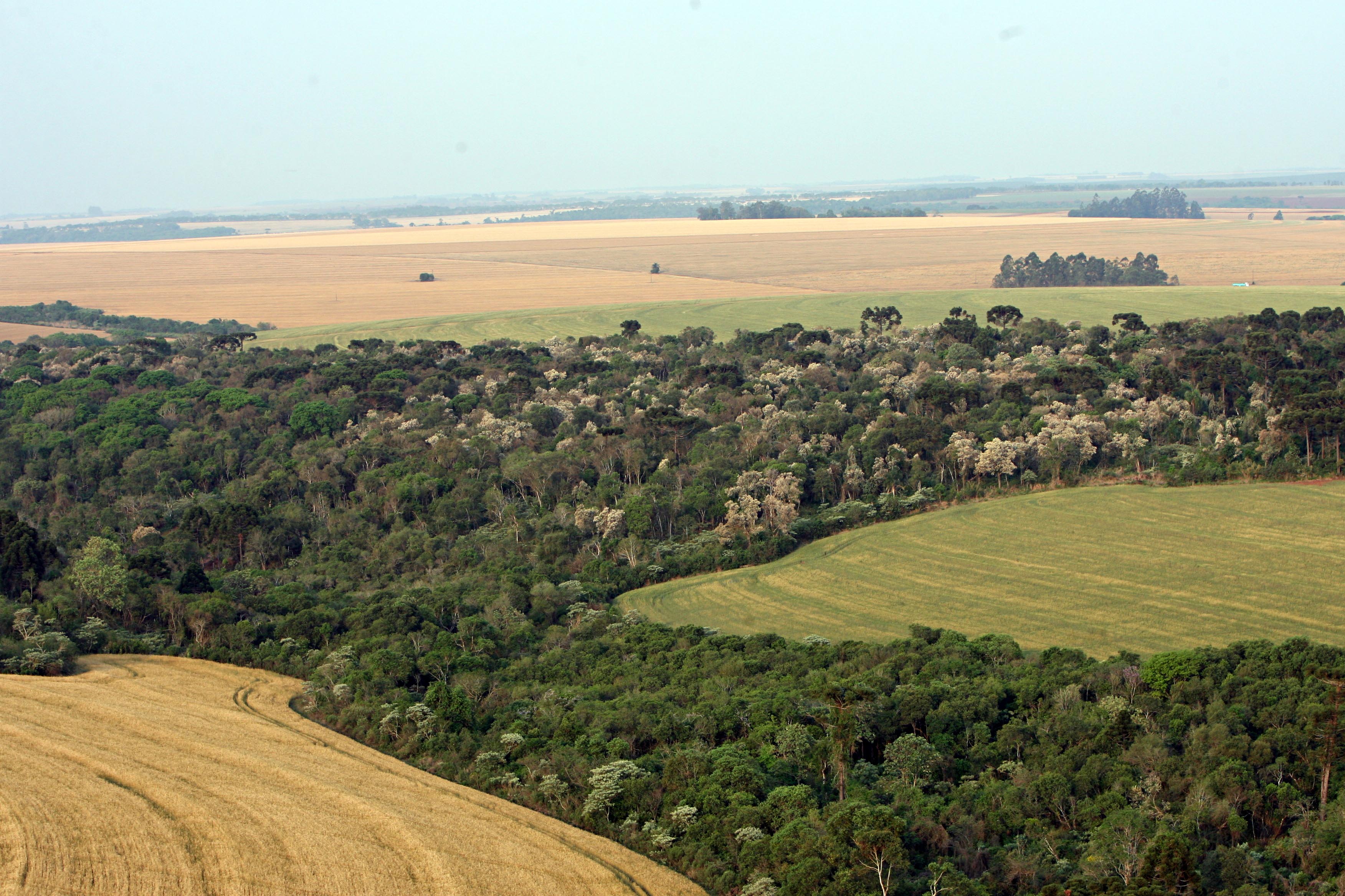| Albari Rosa/Gazeta do Povo