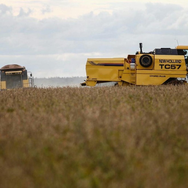 Lavoura da família Antonini |