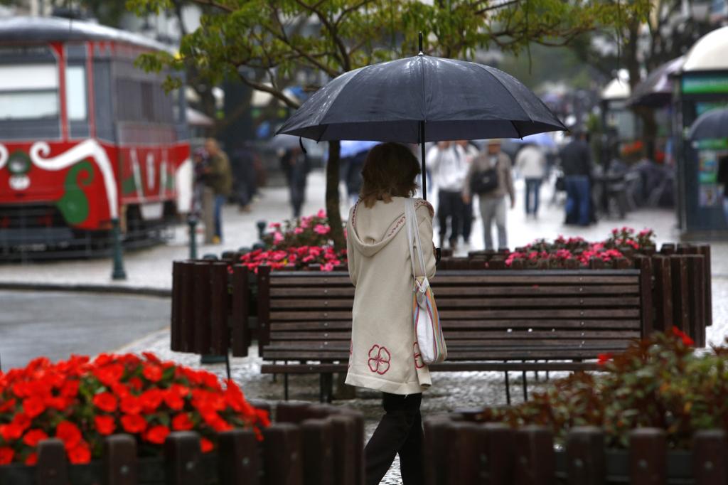 | Aniele Nascimento/Gazeta do Povo