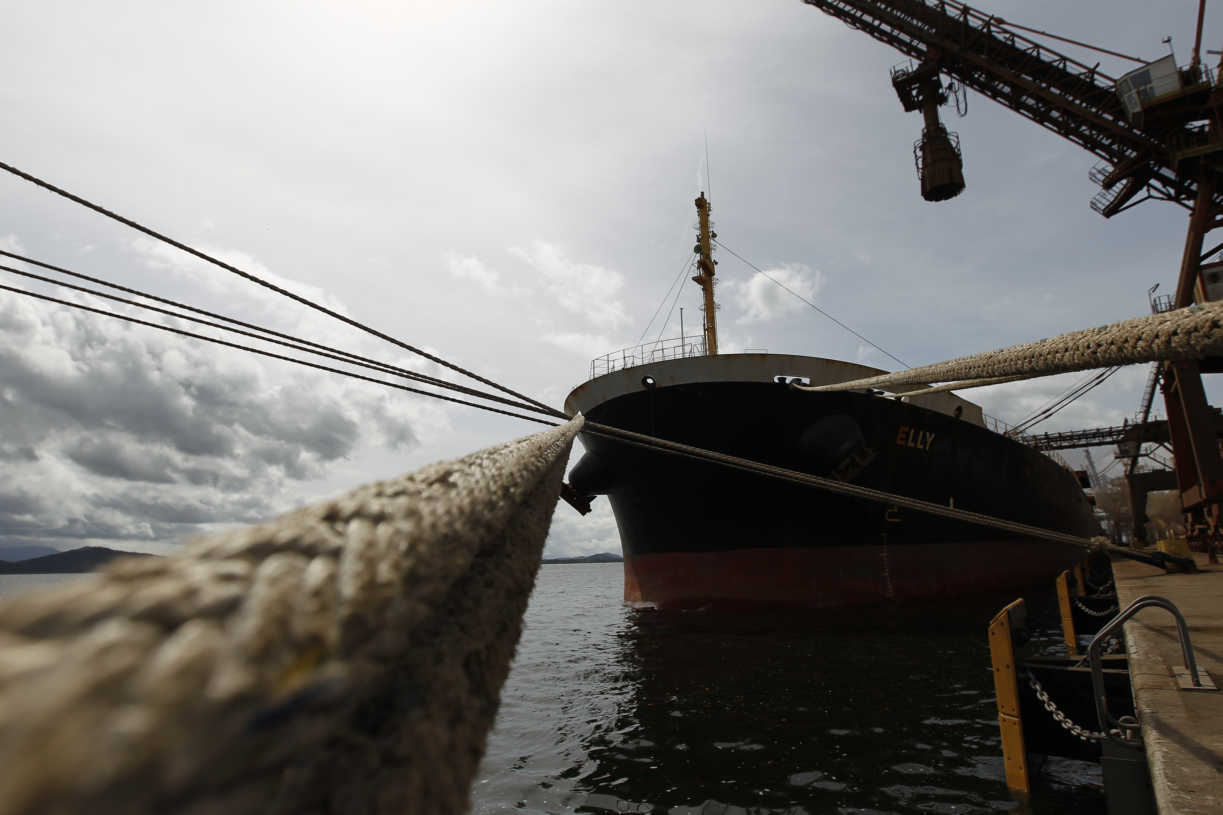 Ministério da Agricultura afirma que a exportação de animais vivos cumpre todas as exigências das normas internacionais | Jonathan Campos/Gazeta do Povo